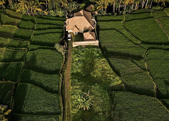Eden Valley * Ubud